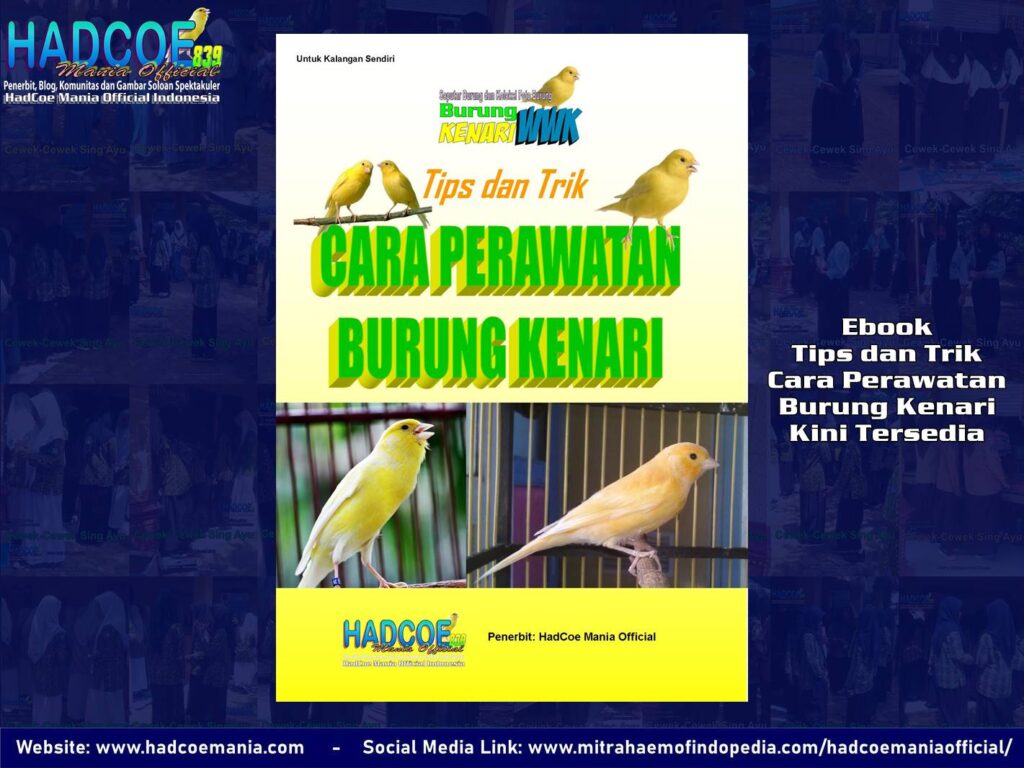 Ebook Tips dan Trik Cara Perawatan Burung Kenari Kini Tersedia